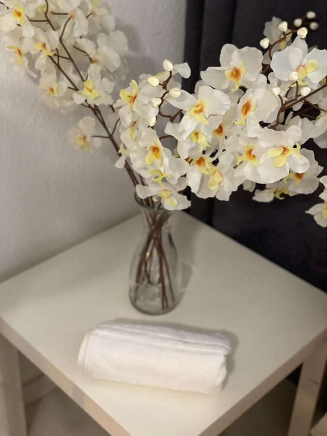 Central Shared Apartment, Friesenplatz كولونيا المظهر الخارجي الصورة